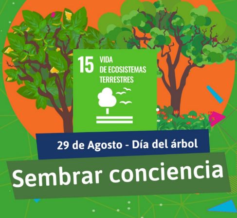 Captura de pantalla 2025-08-13 154311.png